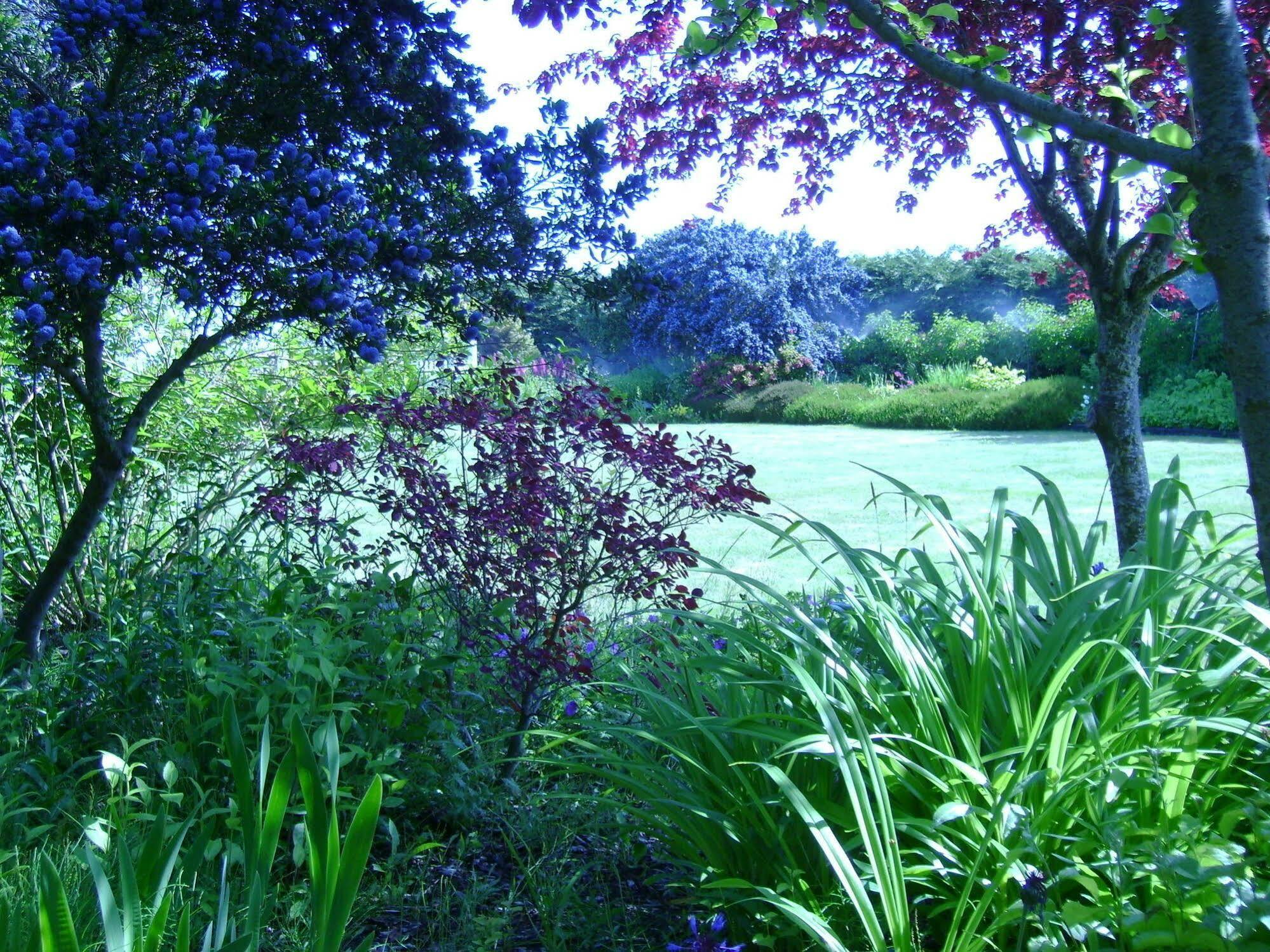 Sea Cliff Gardens Bed & Breakfast Port Angeles Luaran gambar